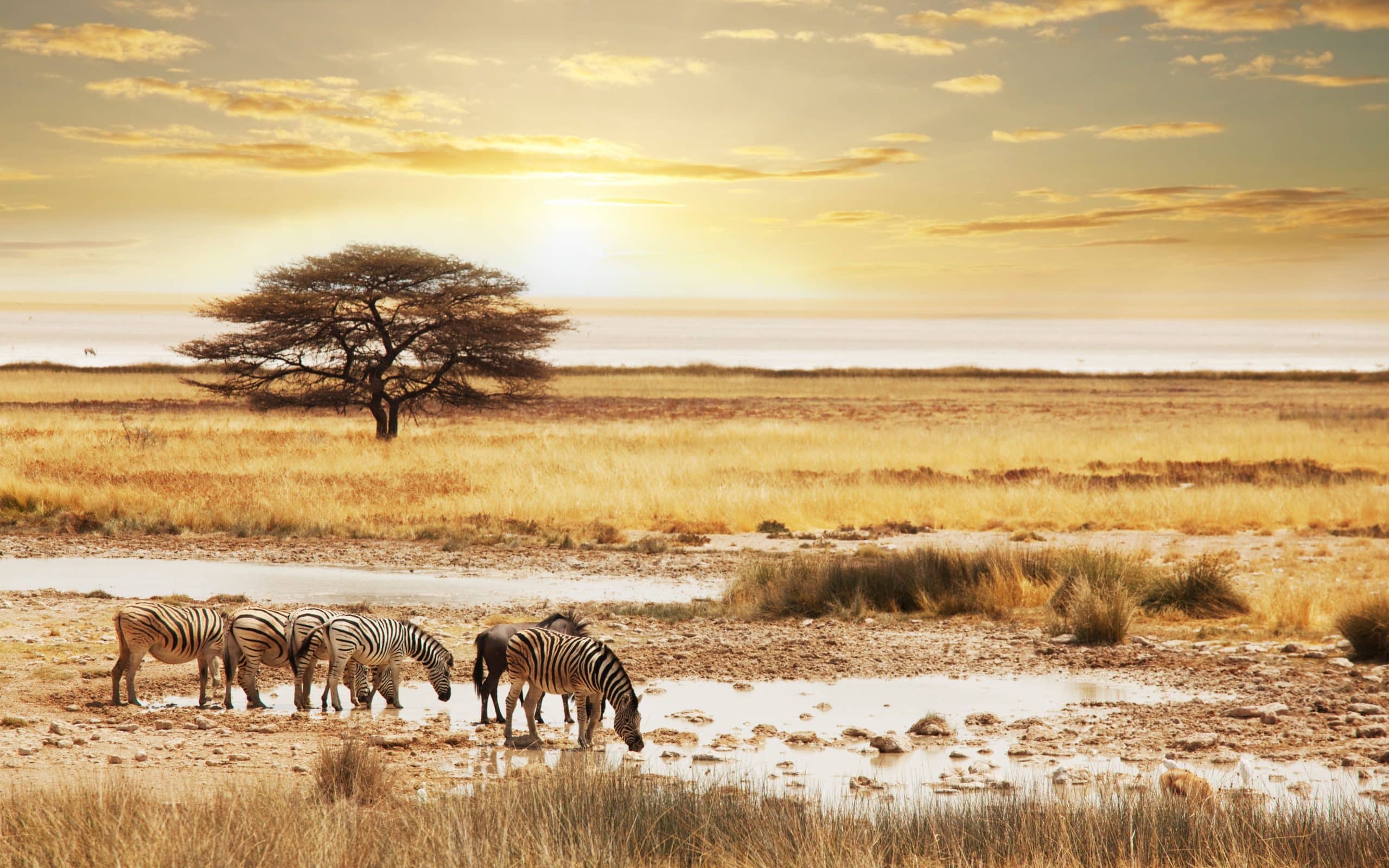 La Namibie vue du ciel avec safarivo.com