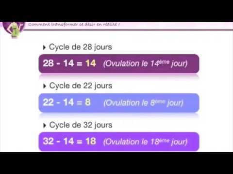 comment calculer son cycle