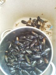 Comment trier les moules ?